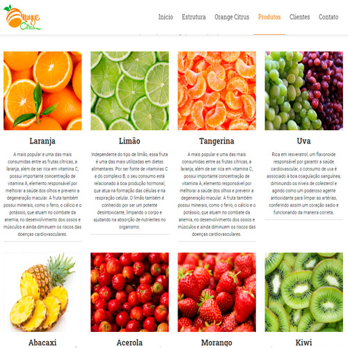 Orange Citrus Distribuidora de frutas