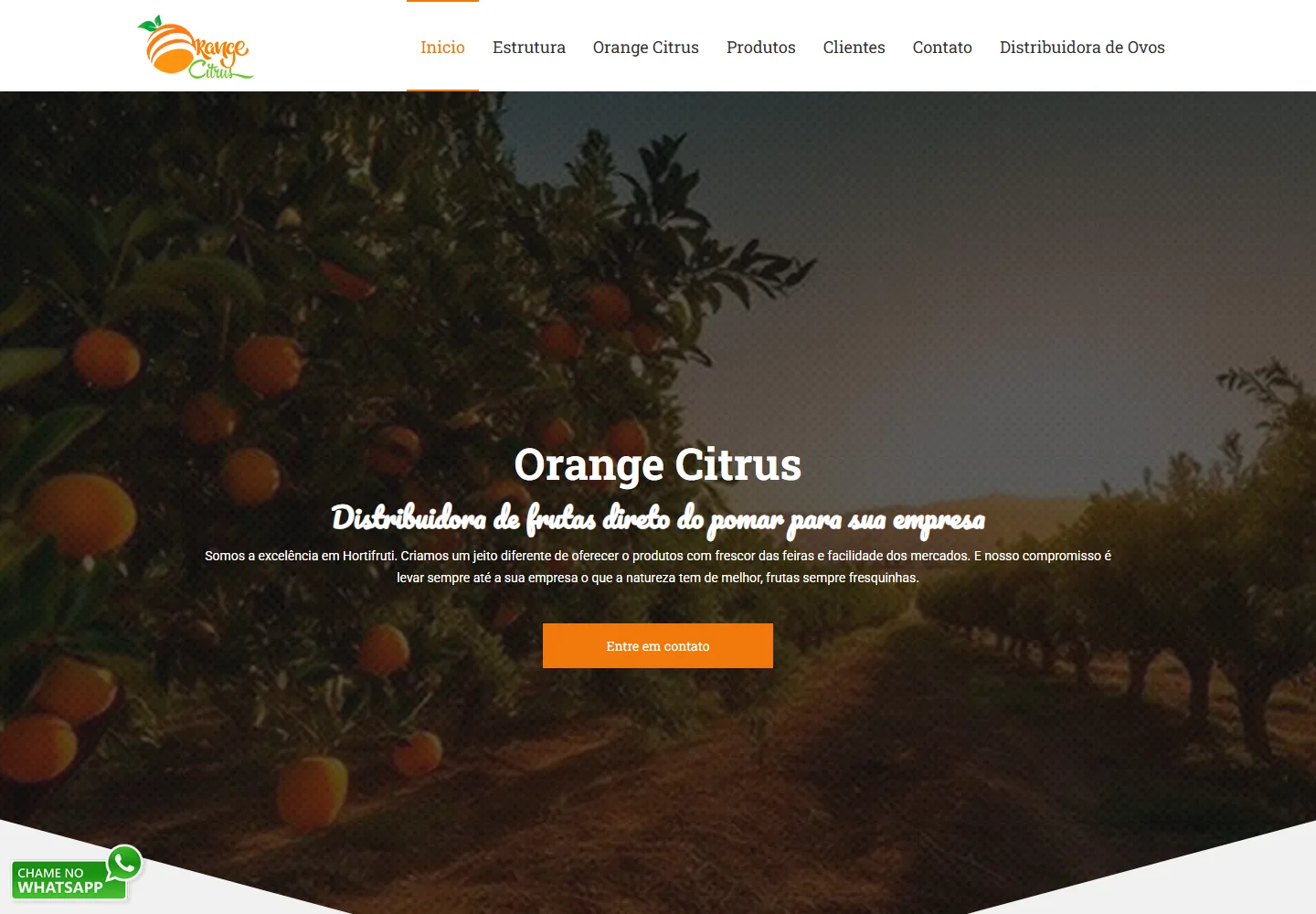 Orange Citrus | Distribuidora de frutas direto do pomar para sua empresa — versão para computador